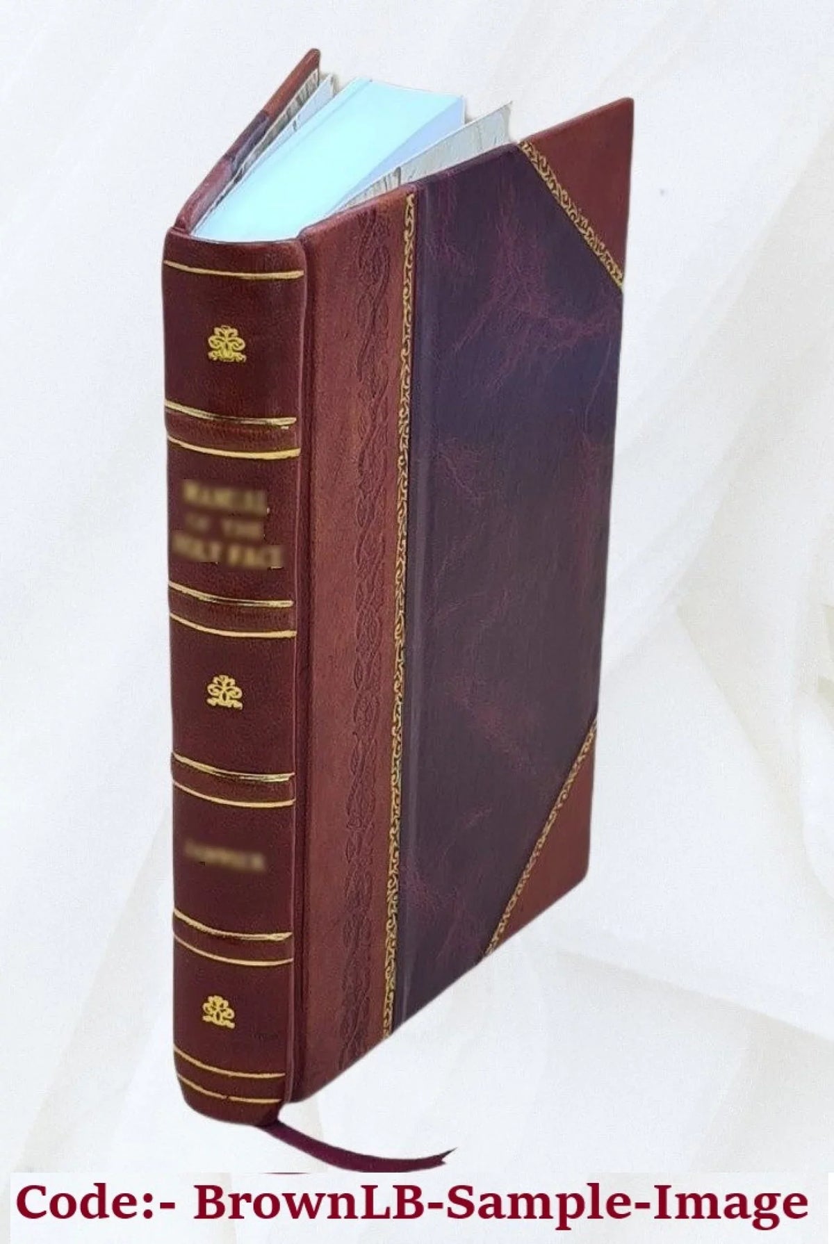 yacht 19-ton or, came How a [Leather 1878 alone sail in I Orion; Bound] to