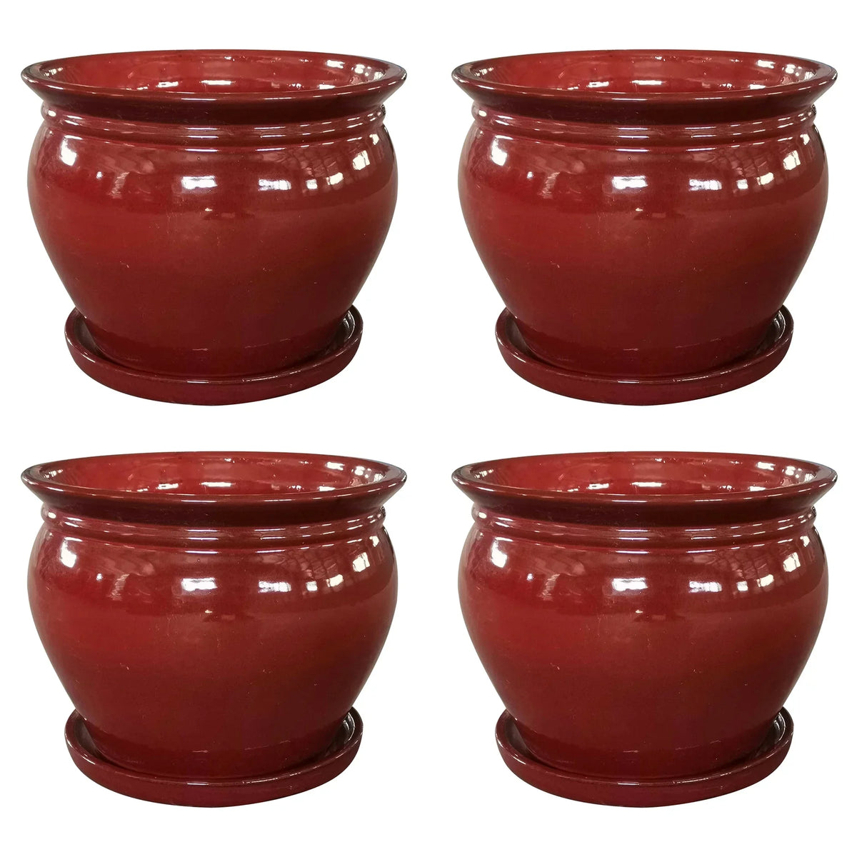 Saucer, Patio Round Ceramic Southern Planter with (4 Pack) Wisteria 8" Pot