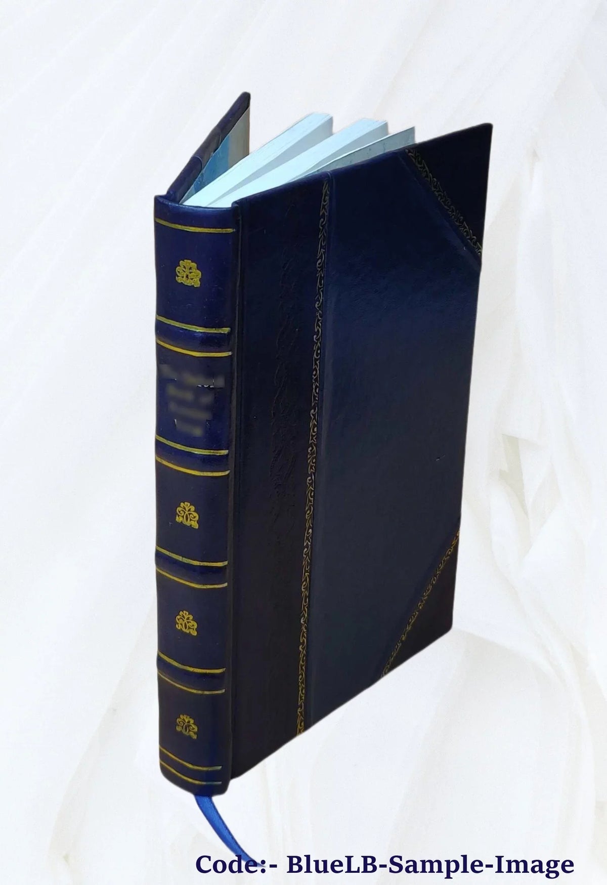 Tennyson's [Leather .. Princess conciliation. 1906 on The Burkes Speech Bound]
